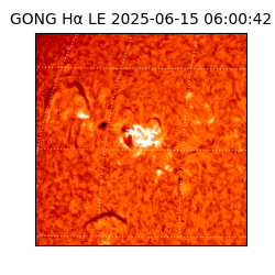 gong - 2025-06-15T06:00:42