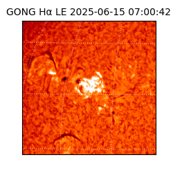 gong - 2025-06-15T07:00:42