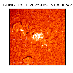 gong - 2025-06-15T08:00:42