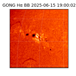 gong - 2025-06-15T19:00:02