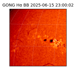 gong - 2025-06-15T23:00:02