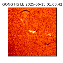 gong - 2025-06-15T01:00:42