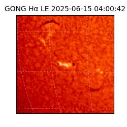 gong - 2025-06-15T04:00:42