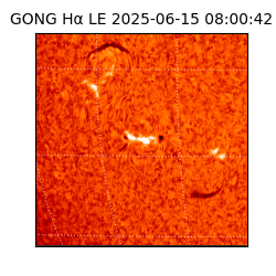 gong - 2025-06-15T08:00:42