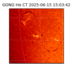 gong - 2025-06-15T15:03:42