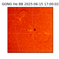 gong - 2025-06-15T17:00:02