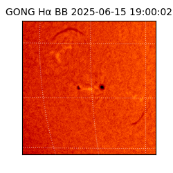 gong - 2025-06-15T19:00:02