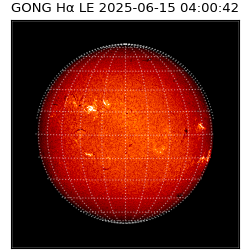 gong - 2025-06-15T04:00:42