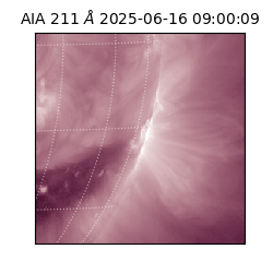 saia - 2025-06-16T09:00:09.622000