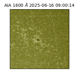 saia - 2025-06-16T09:00:14.126000