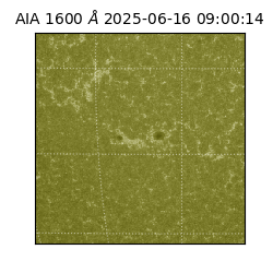 saia - 2025-06-16T09:00:14.126000