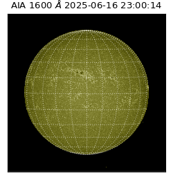 saia - 2025-06-16T23:00:14.126000