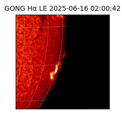 gong - 2025-06-16T02:00:42