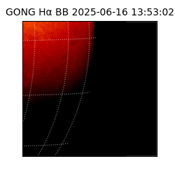 gong - 2025-06-16T13:53:02