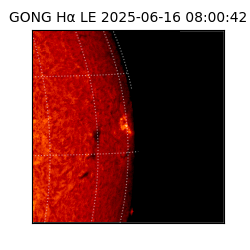 gong - 2025-06-16T08:00:42