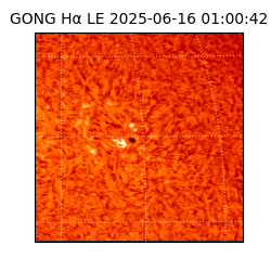 gong - 2025-06-16T01:00:42