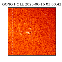 gong - 2025-06-16T03:00:42