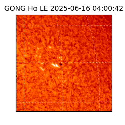 gong - 2025-06-16T04:00:42