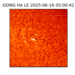 gong - 2025-06-16T05:00:42