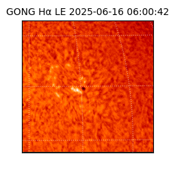 gong - 2025-06-16T06:00:42