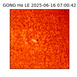 gong - 2025-06-16T07:00:42