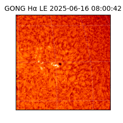 gong - 2025-06-16T08:00:42