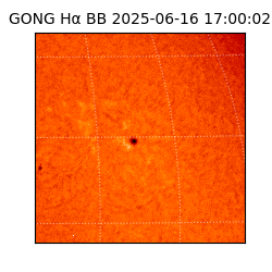 gong - 2025-06-16T17:00:02