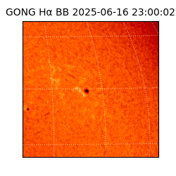 gong - 2025-06-16T23:00:02