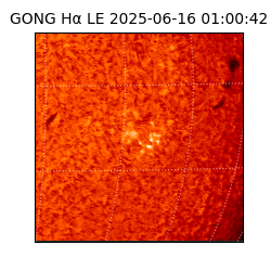 gong - 2025-06-16T01:00:42