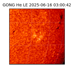 gong - 2025-06-16T03:00:42