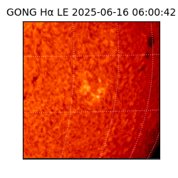 gong - 2025-06-16T06:00:42