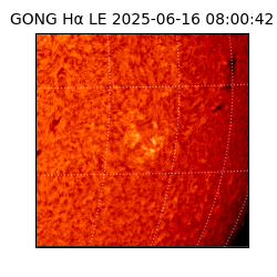gong - 2025-06-16T08:00:42