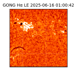 gong - 2025-06-16T01:00:42