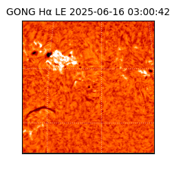 gong - 2025-06-16T03:00:42