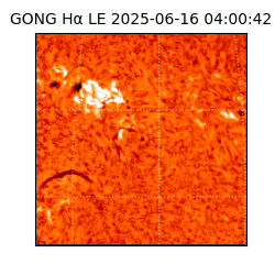 gong - 2025-06-16T04:00:42