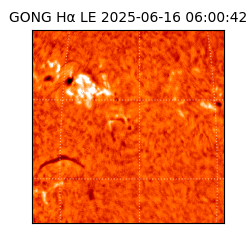 gong - 2025-06-16T06:00:42