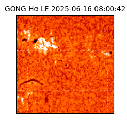 gong - 2025-06-16T08:00:42