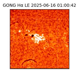 gong - 2025-06-16T01:00:42