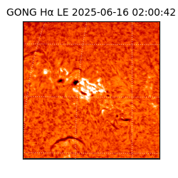 gong - 2025-06-16T02:00:42