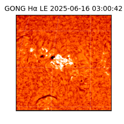 gong - 2025-06-16T03:00:42