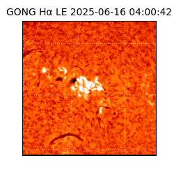 gong - 2025-06-16T04:00:42