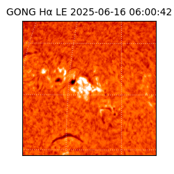 gong - 2025-06-16T06:00:42