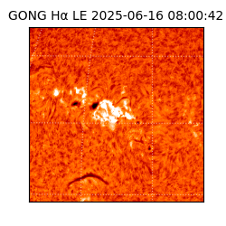 gong - 2025-06-16T08:00:42