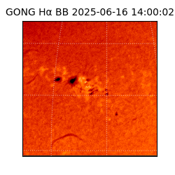 gong - 2025-06-16T14:00:02