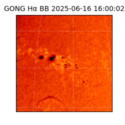 gong - 2025-06-16T16:00:02