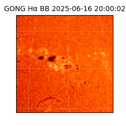 gong - 2025-06-16T20:00:02