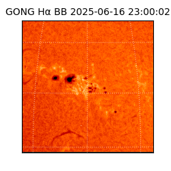 gong - 2025-06-16T23:00:02