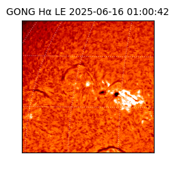 gong - 2025-06-16T01:00:42