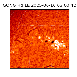 gong - 2025-06-16T03:00:42