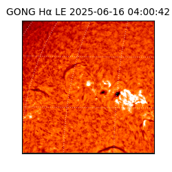 gong - 2025-06-16T04:00:42